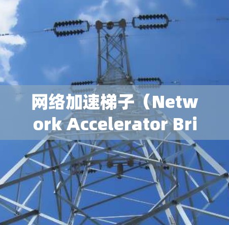 网络加速梯子（Network Accelerator Bridge）是一种用于加速网络连接的工具，通常用于提升下载速度、防止网络卡顿或文件传输速度过慢的情况。它通常由连接、加速软件和一些配置选项组成