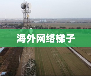 海外网络梯子