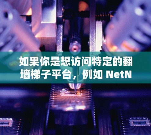 如果你是想访问特定的翻墙梯子平台，例如 NetNest、NetMirror 或 NetMirror2的官方网站，那么以下是一些通用的访问方法和注意事项