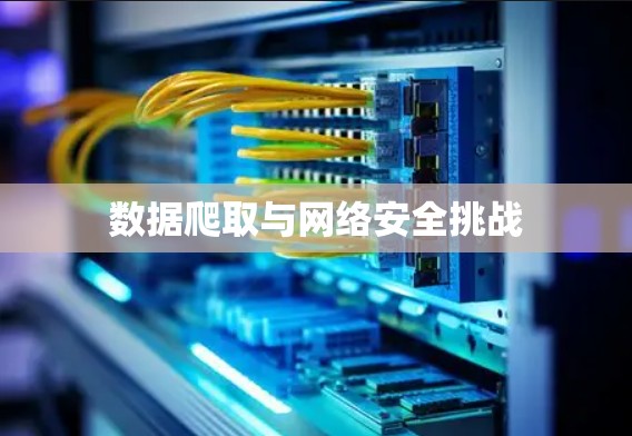 数据爬取与网络安全挑战 数据爬取与网络安全挑战