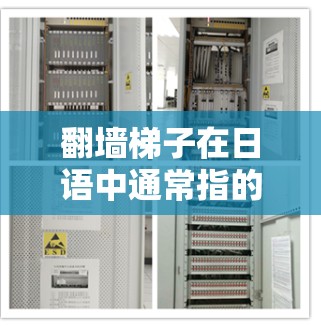 翻墙梯子在日语中通常指的是分身术（faishin）意思是通过某种技术或方法将自己翻转或分身到其他地方。在日本，分身术在虚拟社交平台、虚拟网络和虚拟世界中扮演着重要角色