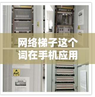 网络梯子这个词在手机应用中可能有不同的含义，具体取决于应用的类型和功能。以下是一些可能的解释