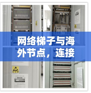 网络梯子与海外节点，连接异国的青年