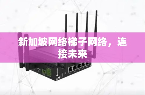 新加坡网络梯子网络，连接未来
