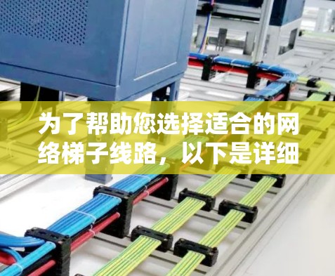 为了帮助您选择适合的网络梯子线路，以下是详细的推荐和信息