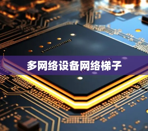 多网络设备网络梯子 多网络设备网络梯子