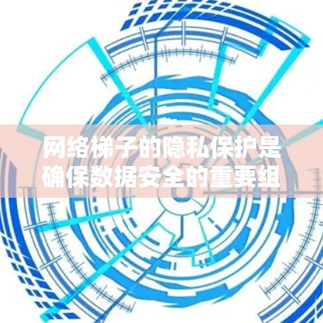 网络梯子的隐私保护是确保数据安全的重要组成部分,以下是对其隐私保护的详细分析 网络梯子的隐私保护是确保数据安全的重要组成部分,以下是对其隐私保护的详细分析