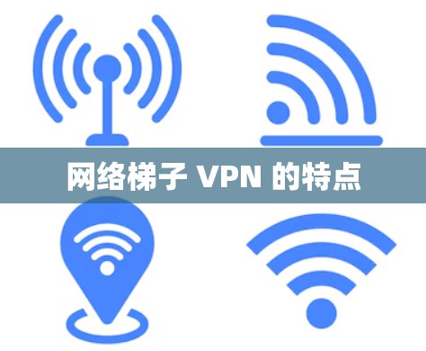 网络梯子 VPN 的特点 网络梯子 VPN 的特点