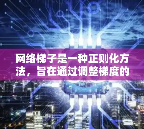 网络梯子是一种正则化方法，旨在通过调整梯度的大小，防止梯度消失或爆炸，从而提高训练的稳定性和效率。它在训练深度神经网络时，允许较大的学习率，同时保持模型的表达能力。以下是关于网络梯子的详细分析和应用