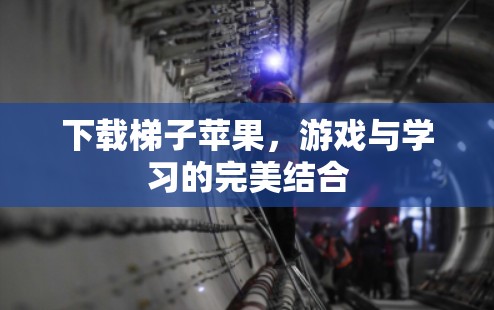 下载梯子苹果,游戏与学习的完美结合 下载梯子苹果,游戏与学习的完美结合