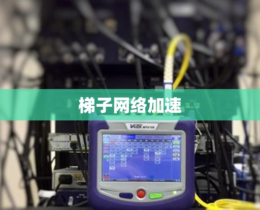 梯子网络加速 梯子网络加速