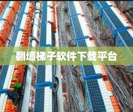 翻墙梯子软件下载平台 翻墙梯子软件下载平台