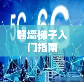 翻墙梯子入门指南