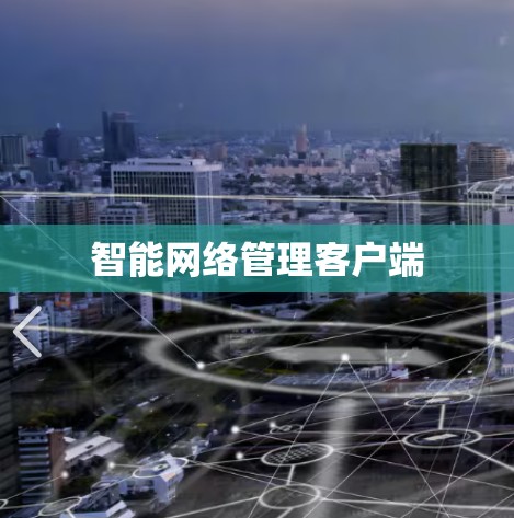 智能网络管理客户端 智能网络管理客户端