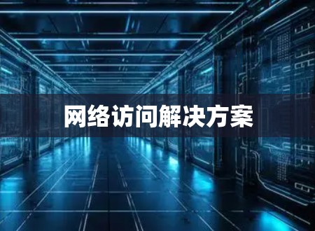 网络访问解决方案 网络访问解决方案