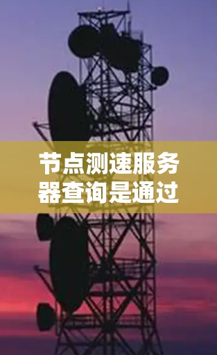 节点测速服务器查询是通过节点运行的测速服务器来检测和监控网络流量的技术。以下是详细的步骤和注意事项 节点测速服务器查询是通过节点运行的测速服务器来检测和监控网络流量的技术。以下是详细的步骤和注意事项