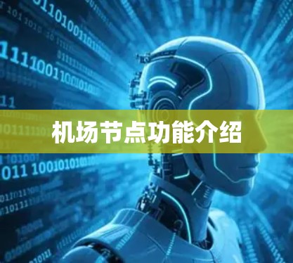机场节点功能介绍 机场节点功能介绍