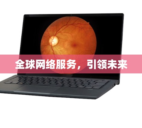 全球网络服务,引领未来 全球网络服务,引领未来