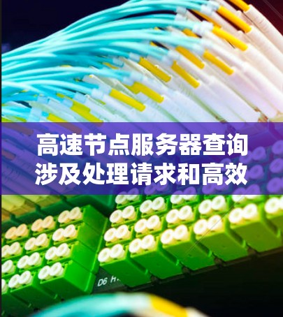 高速节点服务器查询涉及处理请求和高效存储数据。以下是关于查询请求和数据的详细指南