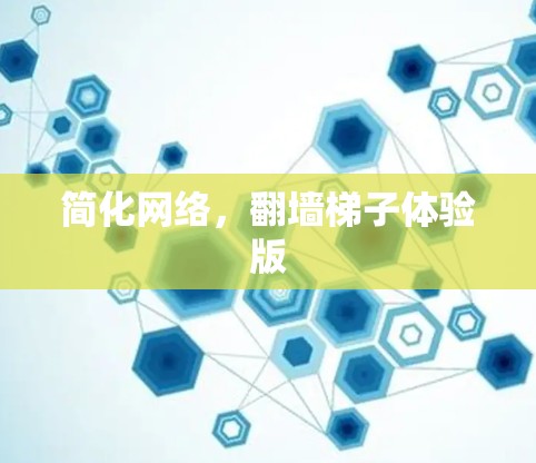 简化网络，翻墙梯子体验版