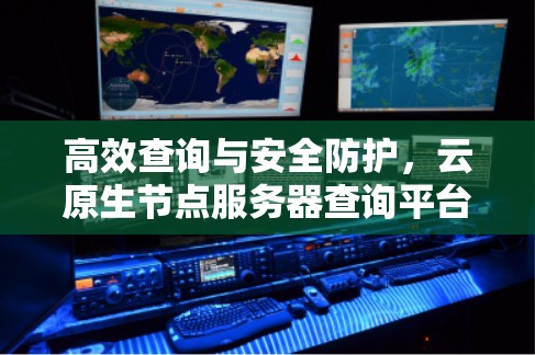 高效查询与安全防护，云原生节点服务器查询平台