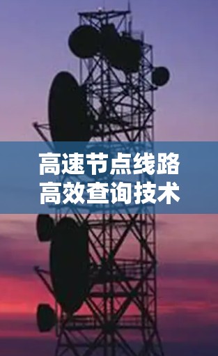 高速节点线路高效查询技术解析
