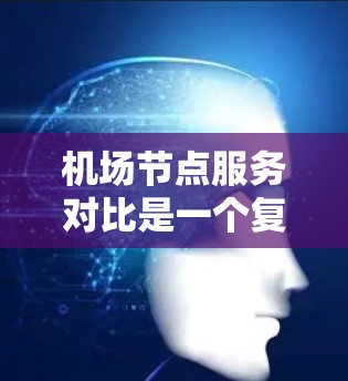 机场节点服务对比是一个复杂的主题，因为机场本身只是一个地点，其服务更多取决于机场的运营能力和资源配置。不过，我可以为你提供一个简要的对比，帮助你更好地理解不同机场可能拥有的服务类型和重点