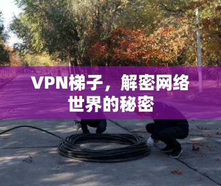VPN梯子，解密网络世界的秘密