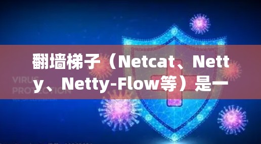 翻墙梯子(Netcat、Netty、Netty-Flow等)是一种用于网页翻墙的技术,主要用于阻止未经授权的访问WWW服务器。以下是关于翻墙梯子软件的详细介绍 翻墙梯子(Netcat、Netty、Netty-Flow等)是一种用于网页翻墙的技术,主要用于阻止未经授权的访问WWW服务器。以下是关于翻墙梯子软件的详细介绍