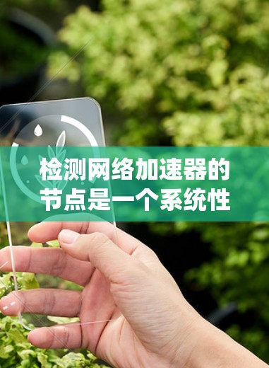 检测网络加速器的节点是一个系统性的过程，涉及多个方面，包括客户端和服务器的硬件和软件配置。以下是一个有条理的总结和步骤指南