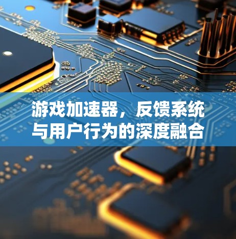 游戏加速器,反馈系统与用户行为的深度融合 游戏加速器,反馈系统与用户行为的深度融合