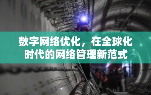 数字网络优化，在全球化时代的网络管理新范式