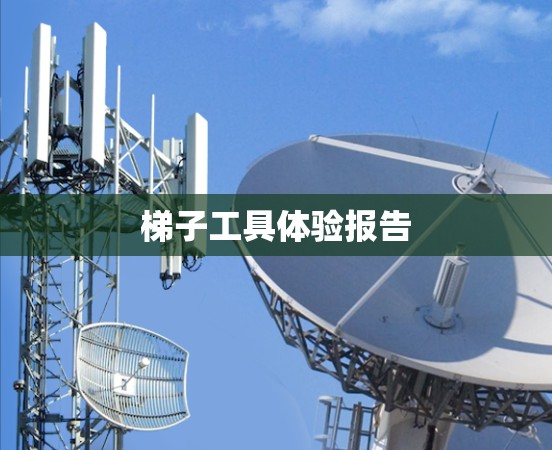 梯子工具体验报告