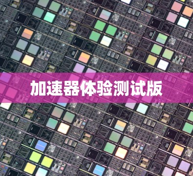 加速器体验测试版