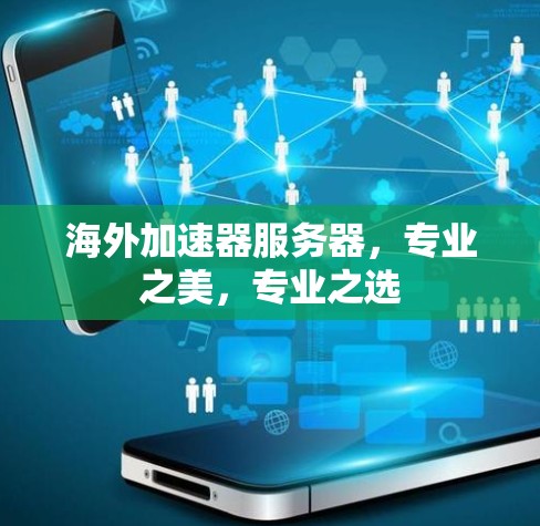 海外加速器服务器，专业之美，专业之选
