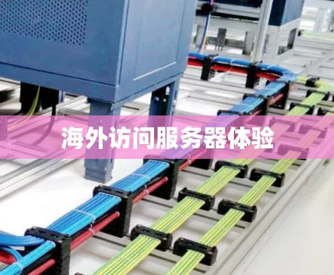 海外访问服务器体验