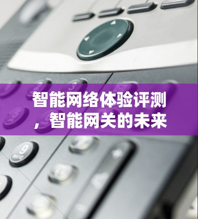 智能网络体验评测，智能网关的未来与发展