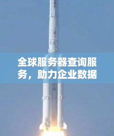 全球服务器查询服务，助力企业数据管理与合规