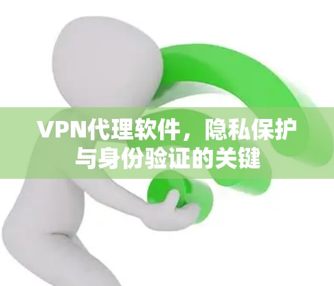 VPN代理软件，隐私保护与身份验证的关键