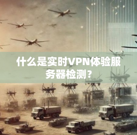 什么是实时VPN体验服务器检测？