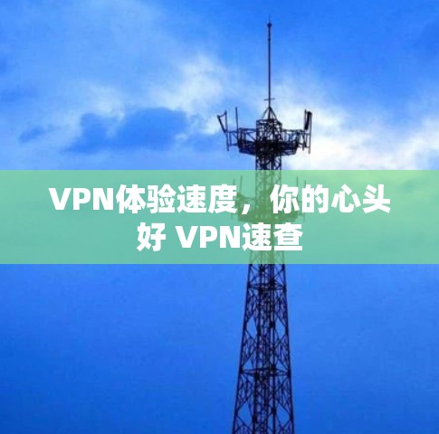 VPN体验速度，你的心头好 VPN速查