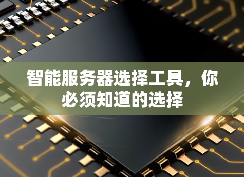 智能服务器选择工具，你必须知道的选择