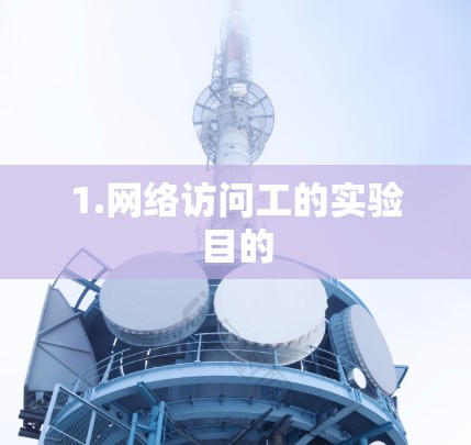 1.网络访问工的实验目的 1.网络访问工的实验目的