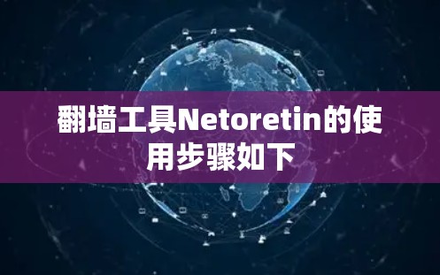 翻墙工具Netoretin的使用步骤如下