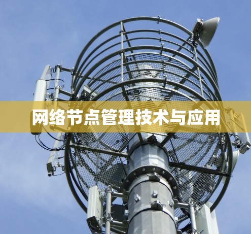 网络节点管理技术与应用