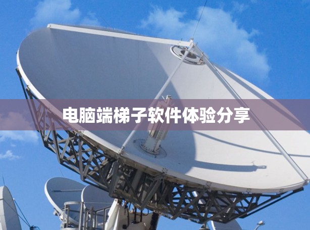 电脑端梯子软件体验分享