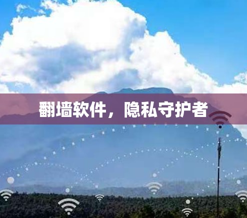 翻墙软件,隐私守护者 翻墙软件,隐私守护者