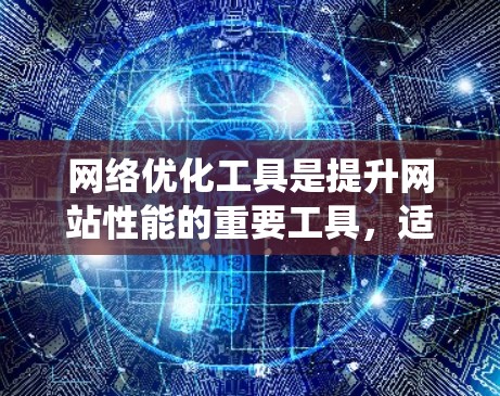 网络优化工具是提升网站性能的重要工具，适用于Windows和MacOS操作系统。以下是详细的安装步骤和使用指南