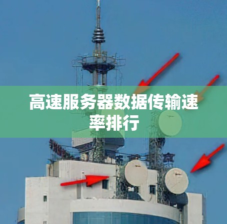 高速服务器数据传输速率排行