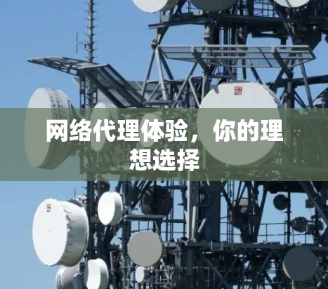 网络代理体验，你的理想选择
